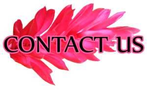 contact us